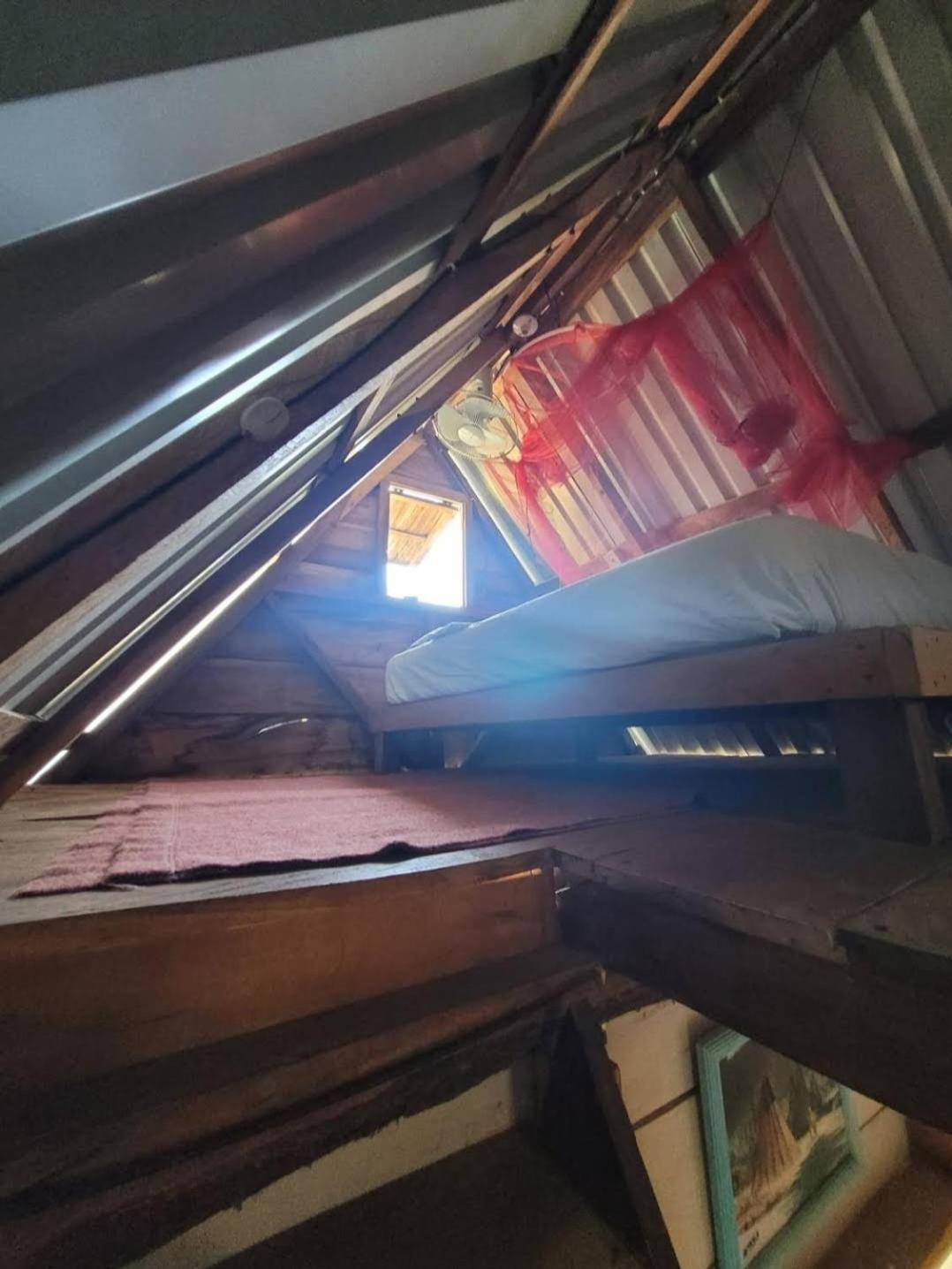 El GiganteCoconut Houseアパートメント エクステリア 写真